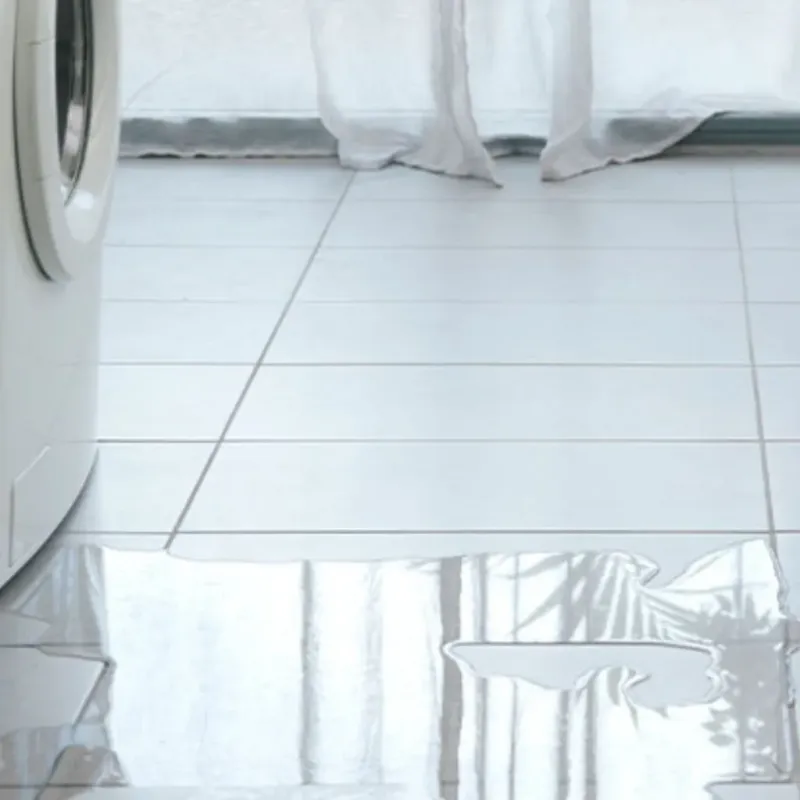 Appliance Leak Cleanup in Pauls Valley, OK